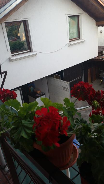 Apartments Aida Біхач Екстер'єр фото